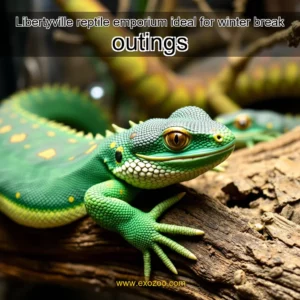 Read more about the article Libertyville reptile emporium ideal for winter break outings