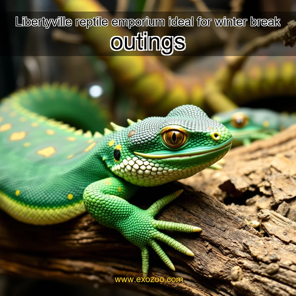 Read more about the article Libertyville reptile emporium ideal for winter break outings
