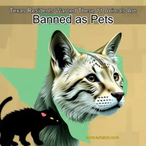 Read more about the article Texas Residents Warned These 11 Animals Are Banned as Pets