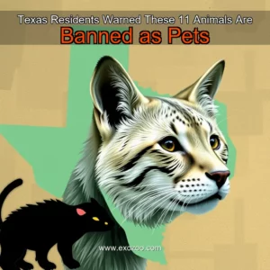 Read more about the article Texas Residents Warned These 11 Animals Are Banned as Pets