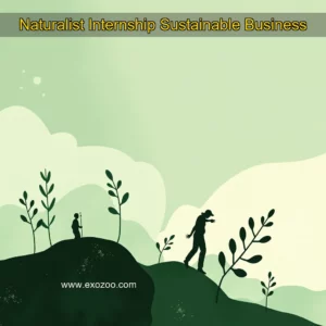 Read more about the article Naturalist Internship  Sustainable Business