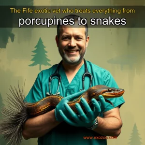 Read more about the article The Fife exotic vet who treats everything from porcupines to snakes