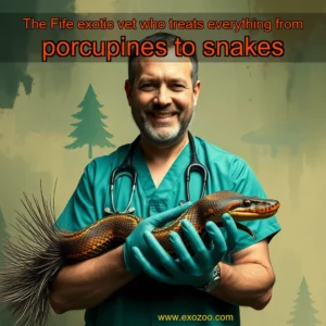 Read more about the article The Fife exotic vet who treats everything from porcupines to snakes