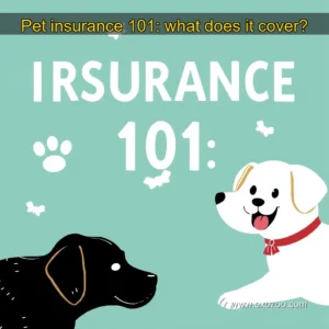 Read more about the article Pet insurance 101: what does it cover?