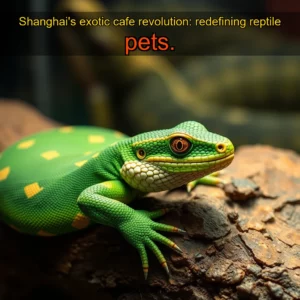 Read more about the article Shanghai’s exotic cafe revolution: redefining reptile pets.