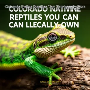 Read more about the article Colorado Native Reptiles You Can Legally Own