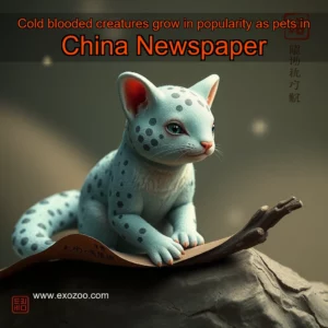 Read more about the article Cold  blooded creatures grow in popularity as pets in China  Newspaper