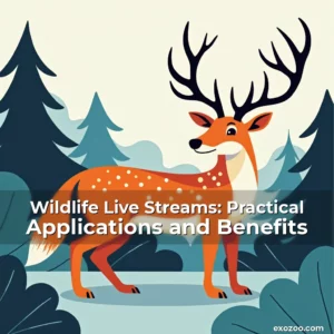 Read more about the article Wildlife Live Streams: Practical Applications and Benefits